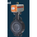 Butterfly Valve